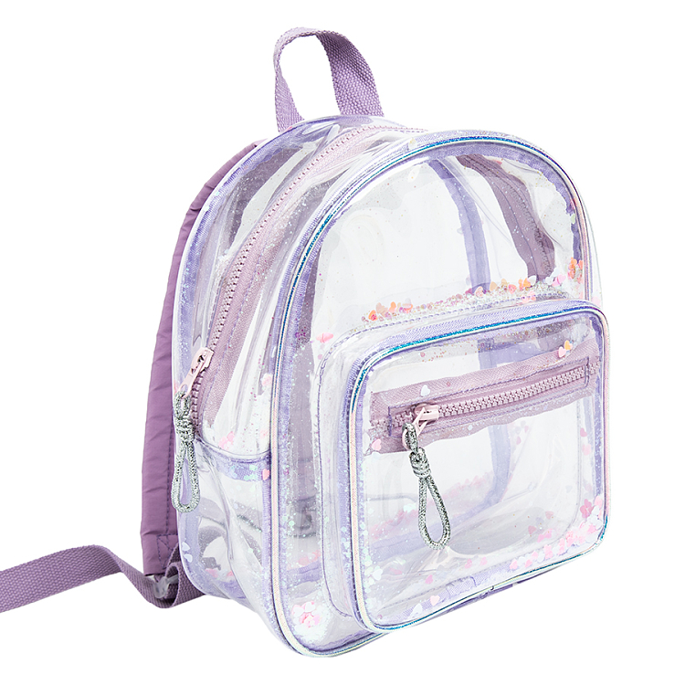 Transparent backpack