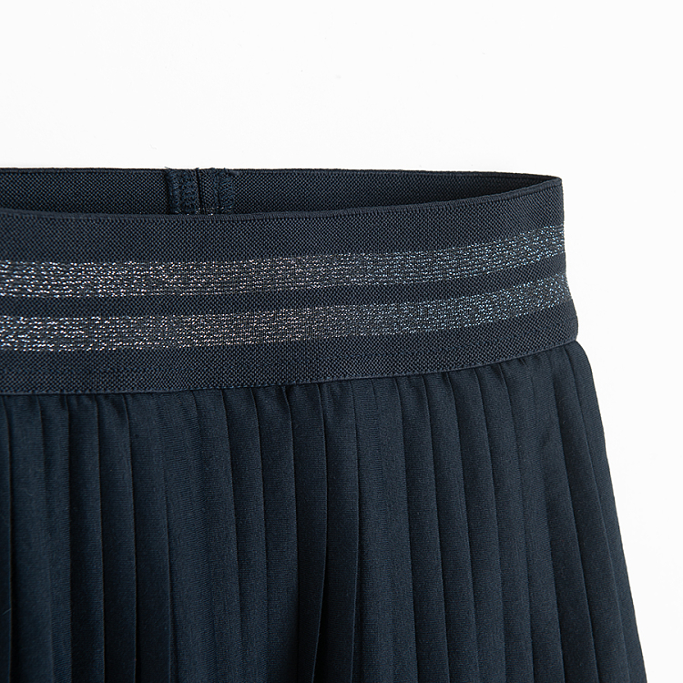 Dark blue pleated skirt