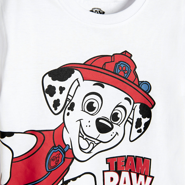 Paw Patrol white, blue and striped T-shirts- 3 pack