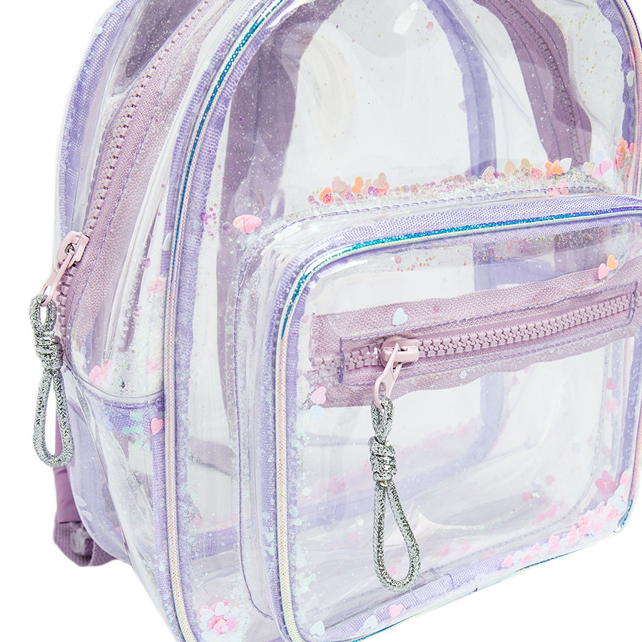 Transparent backpack