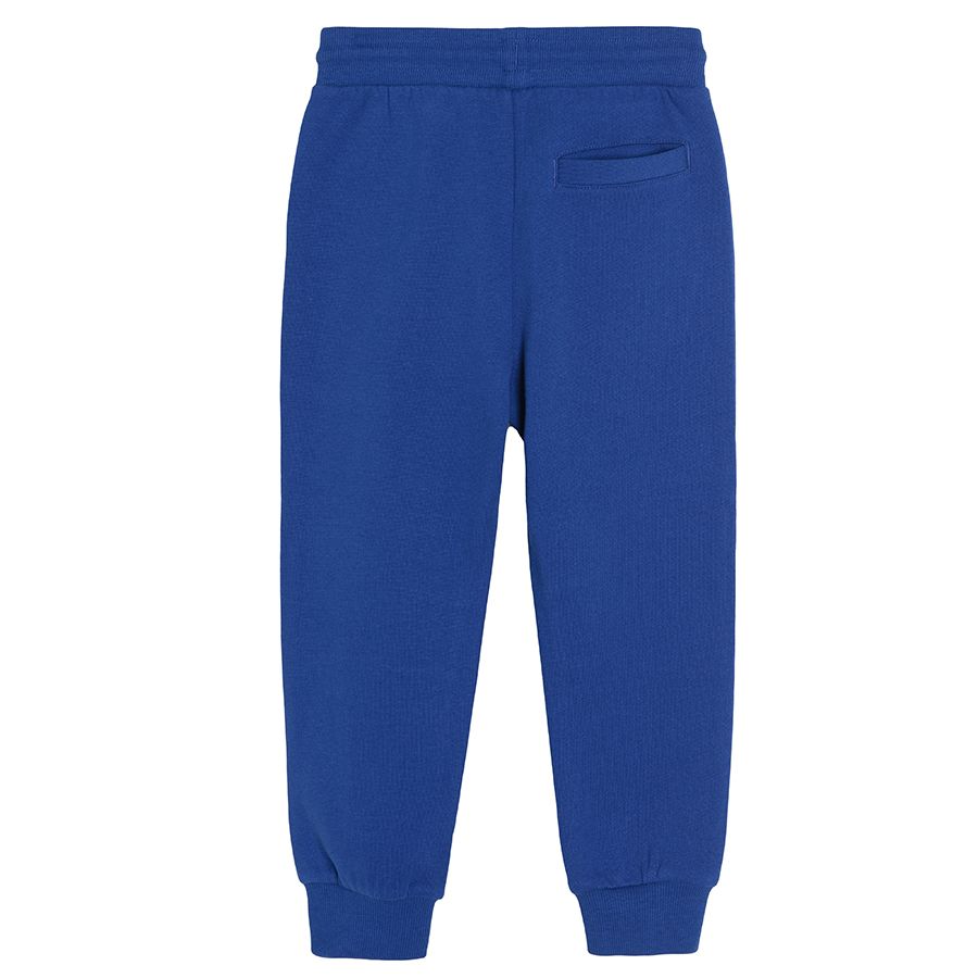 Royal blue 2025 jogging pants