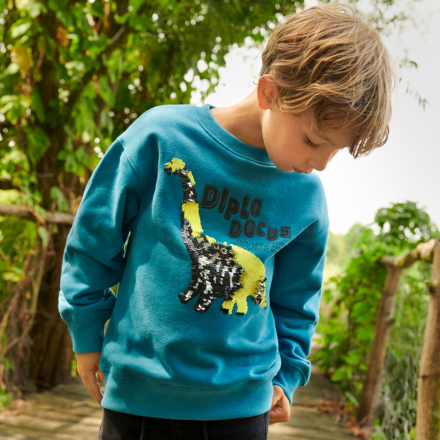 Blue sweatshirt with dinosaur print