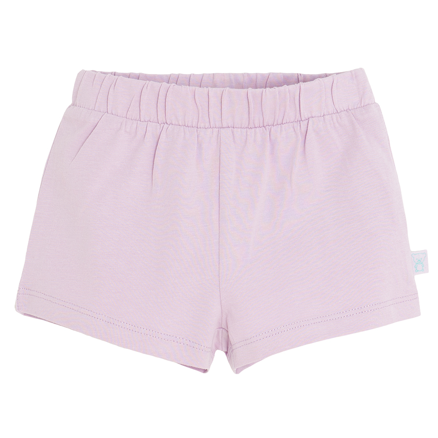 Purple and mix color shorts- 2 pack