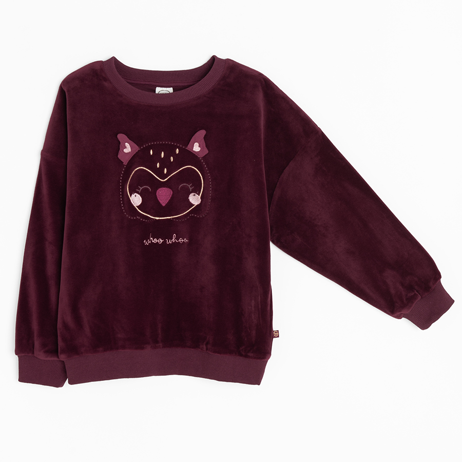 Burgundy sweatshirt with owl print