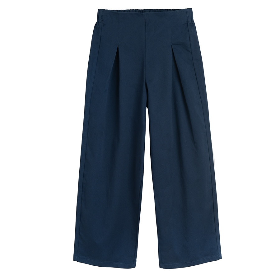 Blue pleated wide leg pants