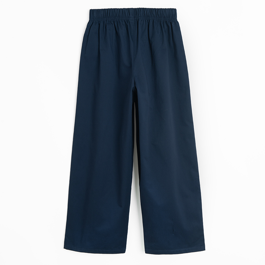 Blue pleated wide leg pants