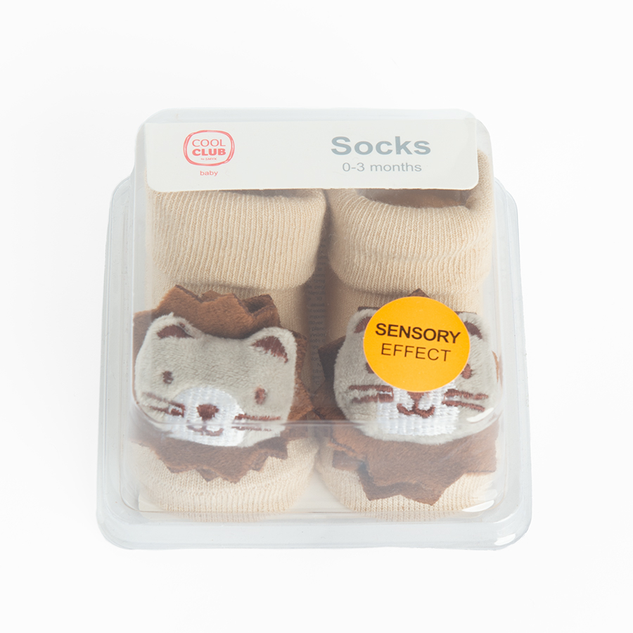 Socks in box