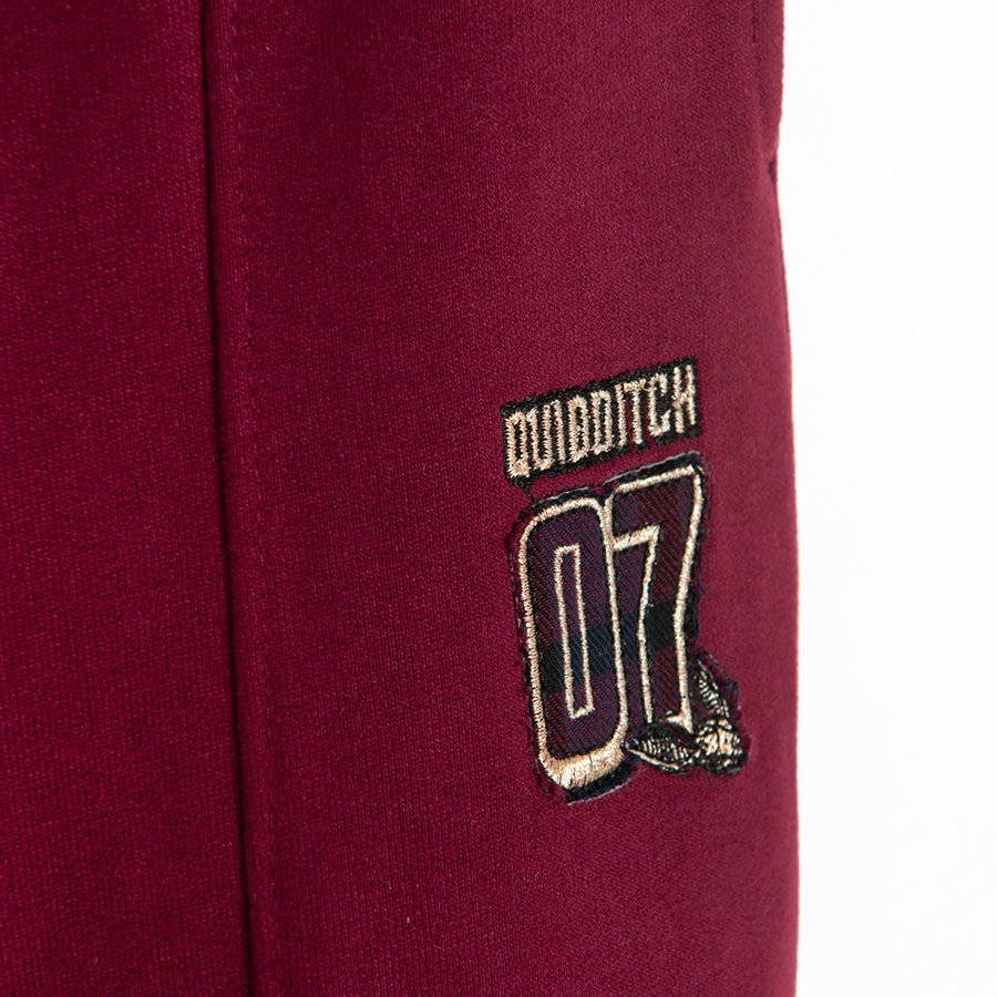 Harry Potter burgundy jogging pants